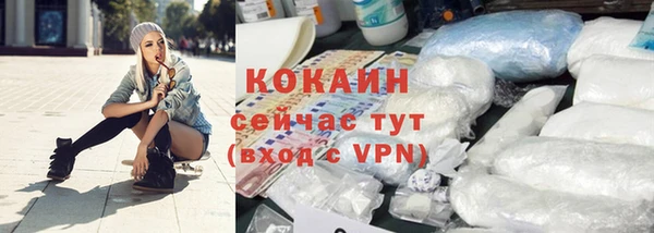 индика Аркадак