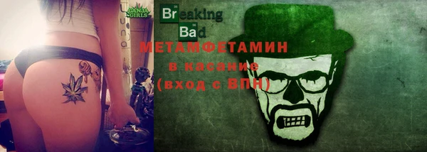 индика Аркадак