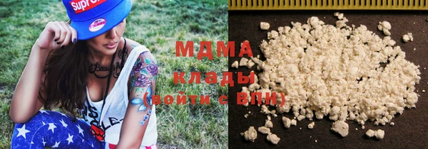 индика Няндома