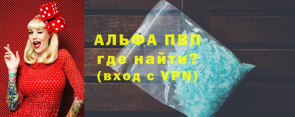 индика Аркадак