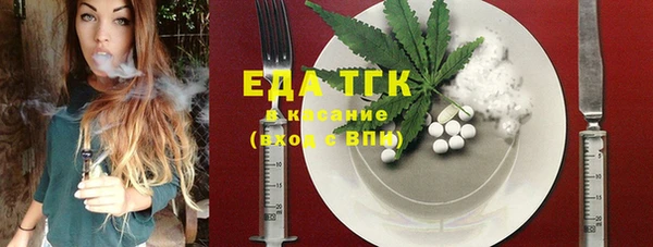 индика Аркадак