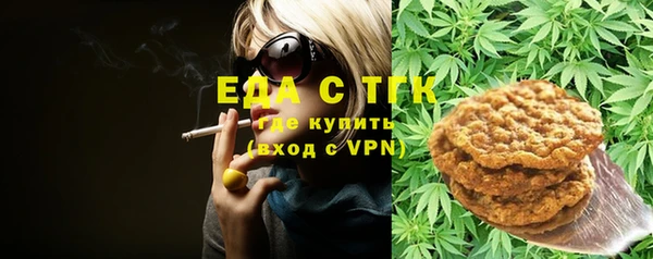 индика Аркадак