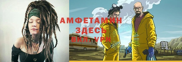 индика Аркадак