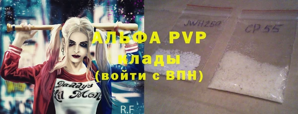 индика Аркадак