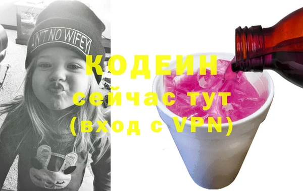 индика Аркадак
